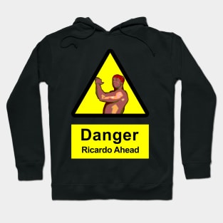 Ricardo Milos - DANGER Hoodie